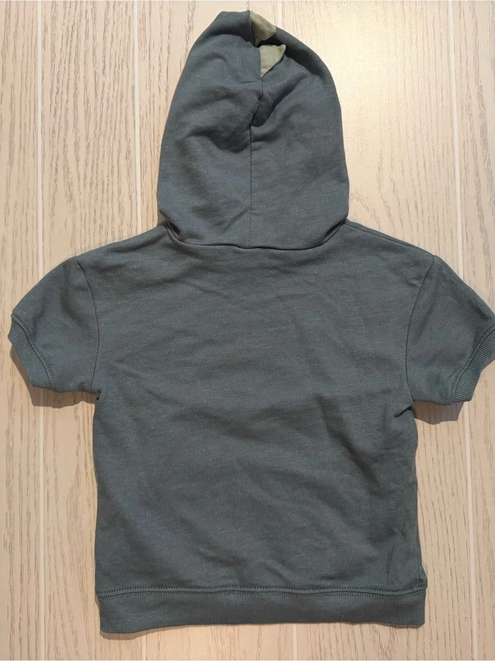 Carter’s Boys 2T Dinosaur Hoodie Shorts 2 Piece Outfit Set Gray Green